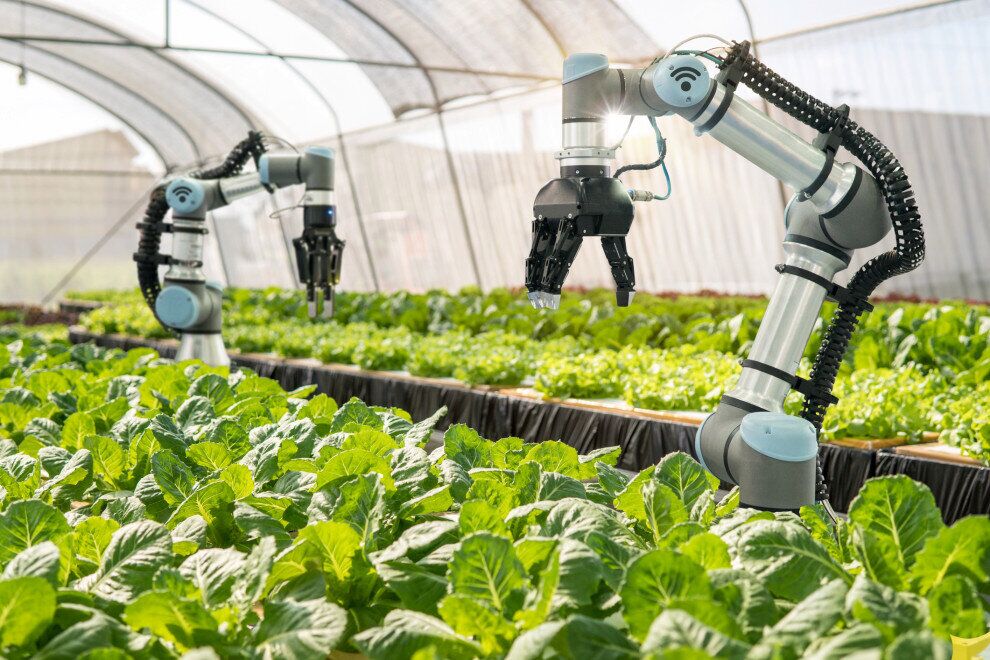 ربات‌های هوشمند مزرعه به کمک کشاورزان می‌آیند