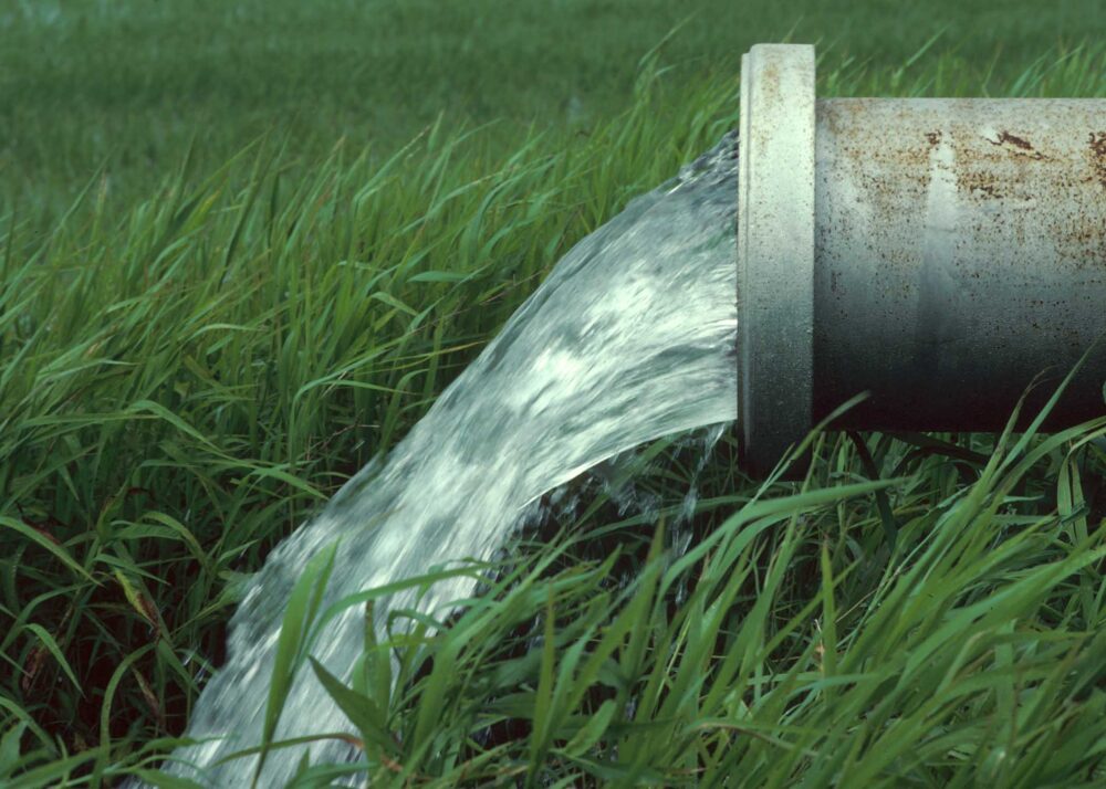 مدیریت مصرف آب شرایط تولید دو برابری محصولات کشاورزی را فراهم می‌کند