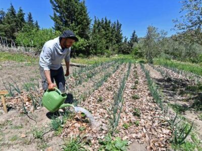 کشاورزی پایا؛ شیوه دوستدار محیط زیست برای دوران خشکسالی