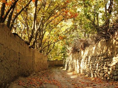 شناسنامه‌دار شدن ۱۴۰۰ هکتار از باغات استان تهران