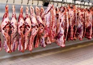۴۰ هزار تُن به ظرفیت تولید گوشت کشور اضافه می‌شود