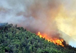 شناسایی آتش‌سوزی‌ جنگل با هوش مصنوعی