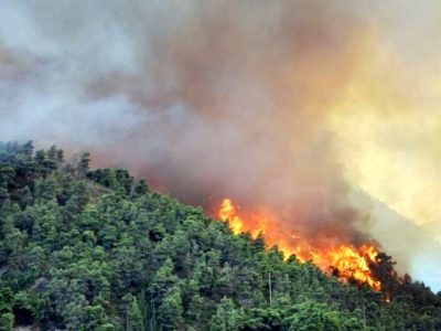 شناسایی آتش‌سوزی‌ جنگل با هوش مصنوعی