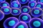 کسب رتبه ۱۳ تولید علم سلول‌های بنیادی و پزشکی بازساختی در جهان