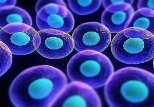 کسب رتبه ۱۳ تولید علم سلول‌های بنیادی و پزشکی بازساختی در جهان