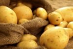 ابلاغ ممنوعیت صادرات سیب‌زمینی از سوی گمرک