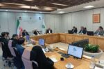 عارف: بنیاد مستضعفان رقیب دولت نیست