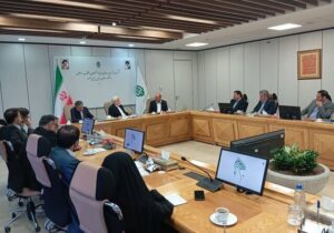 عارف: بنیاد مستضعفان رقیب دولت نیست