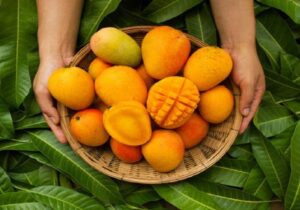 ثبت‌سفارش انبه تا ۱۰ خرداد ممنوع است