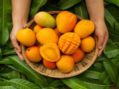 ثبت‌سفارش انبه تا ۱۰ خرداد ممنوع است