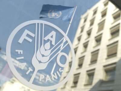 بازگشت حق رای ایران در «فائو»