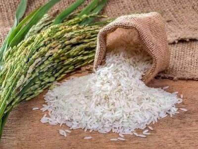ممنوعیت فصلی واردات برنج لغو شد