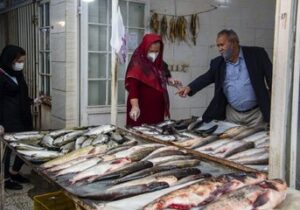 پیش‌بینی سرمایه‌گذاری ۵۰ همتی در حوزه شیلات