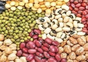 توزیع بیش از ۱۰۰۰ تن حبوبات در کشور