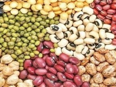 توزیع بیش از ۱۰۰۰ تن حبوبات در کشور
