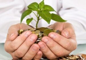 معاون علمی: مشکلات صندوق‌های سرمایه‌گذاری خطرپذیر پیگیری می‌شود