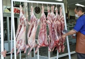 سوداگری در بازار دام و گوشت قرمز