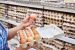 خرید حمایتی تخم‌مرغ و صادرات به افغانستان و پاکستان آغاز شد