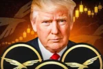 پروژه دیفای مرتبط با دونالد ترامپ توکن سوزی خود را آغاز کرد