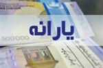 سهم واقعی خانواده‌ها از یارانه چقدر است؟