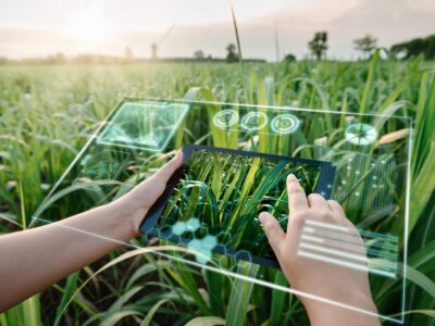 هوش مصنوعی چگونه مصرف آب را در کشاورزی متحول میکند؟