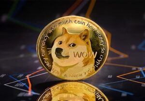 آیا روند صعودی DOGE در خطر است؟