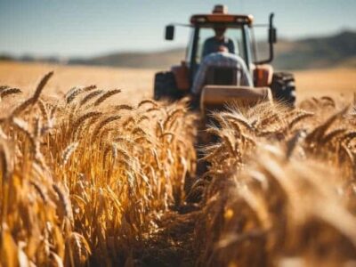 گندم نجات یافت؟ رشد عجیب تسهیلات بانک کشاورزی