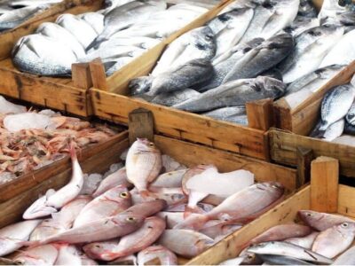 صادرات سالانه شیلات به ۷۰۰ میلیون دلار رسید