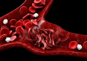 کارخانه خون‌سازی مغز استخوان انسان در آزمایشگاه ساخته شد