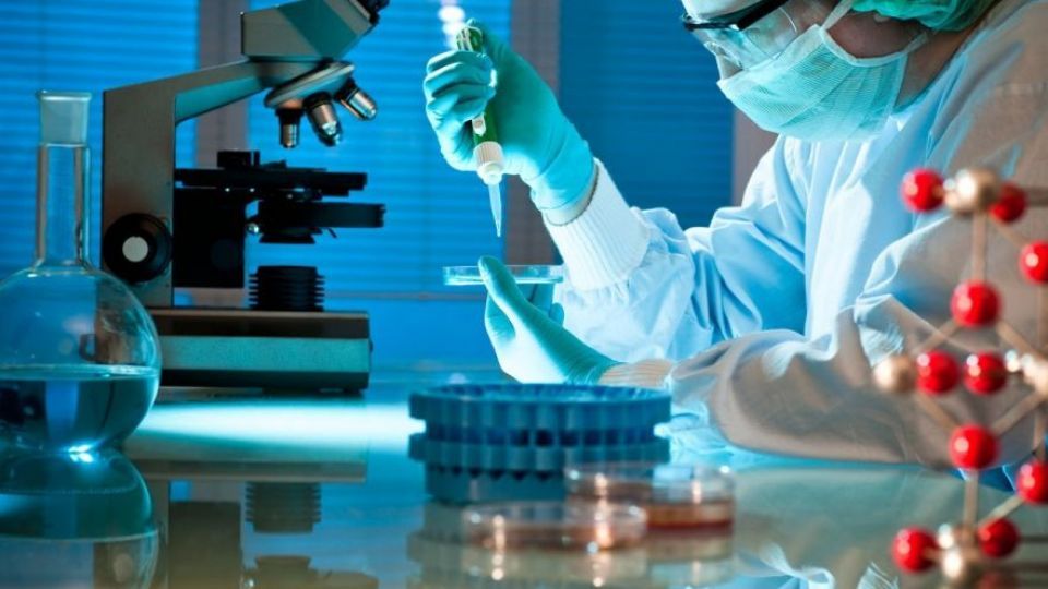 بسته حمایتی دولت برای ۱۵ هزار استاد و دانشجو با هدف مرجعیت علمی بسته حمایتی دولت برای ۱۵ هزار استاد و دانشجو با هدف مرجعیت علمی