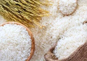 افزایش قیمت برنج در آبان ۱۴۰۴