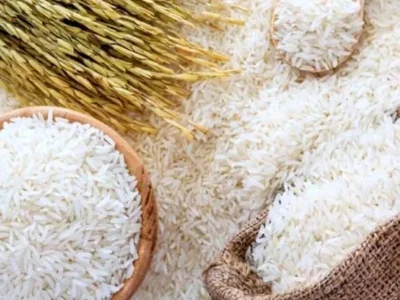 افزایش قیمت برنج در آبان ۱۴۰۴