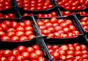 جهش ۴۳ درصدی قیمت گوجه فرنگی در آبان ۱۴۰۴